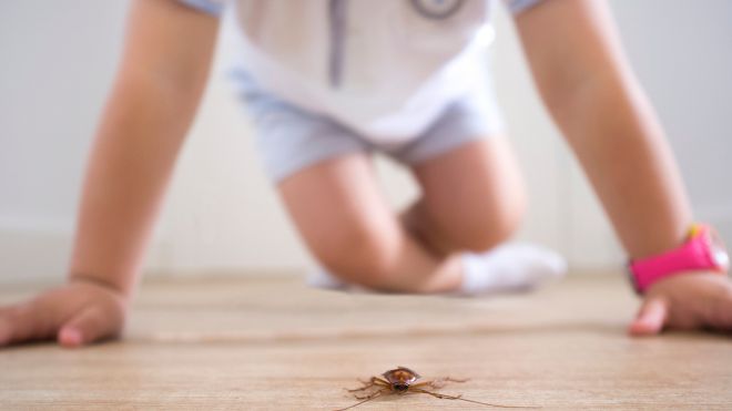 Image of an infant crawling up behind a cockroach